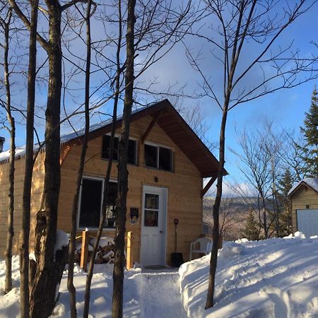 Chalet Nature Laurentides Val-des-Lacs Exterior photo